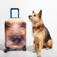 You can now get a suitcase with your dog’s face printed all over it