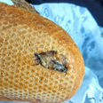 Tourist at Dublin Airport left horrified after finding two dead insects in bread roll
