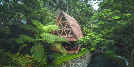 There’s a Bali bamboo Airbnb on the side of a volcano and yeah, we’ll be staying here, cheers