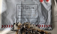 Gardaí appeal for information after recovering five parcel bombs sent from Ireland