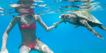 Luxury hotel in the Maldives is hiring someone to look after its turtles this summer