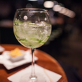 Raise a glass! Study says that gin & tonic can help soothe hay fever