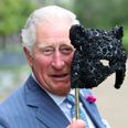 Donald Trump called Prince Charles the ‘Prince of Whales’ and absolutely nah