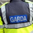 Gardaí appeal for information after alleged racial abuse on Irish train
