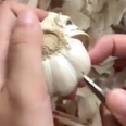 A viral video on how to peel garlic in SECONDS has our minds blown