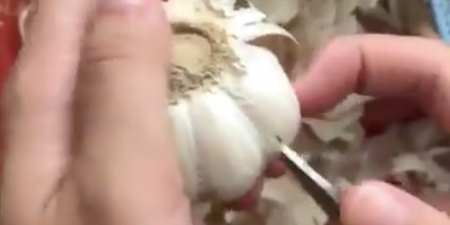 A viral video on how to peel garlic in SECONDS has our minds blown