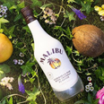 Malibu has released a strawberry fizz flavour and it’s the most ideal summer drink