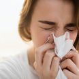 The expert tips you’ll need to get through hay fever season
