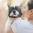 Over half of dog owners kiss their pet more than their partner and yeah, same