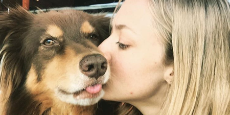 7 celebs who are totally obsessed with their dogs (and we kind of are too!)