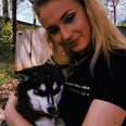Sophie Turner and Joe Jonas’ dog ‘killed by a car’ in New York