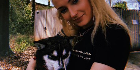 Sophie Turner and Joe Jonas’ dog ‘killed by a car’ in New York