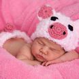 Chinese astrology says Year of the Pig is a great year to have a baby and here’s why