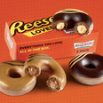 Reese’s peanut butter cup Krispy Kremes exist in this world and we need them to enter us ASAP