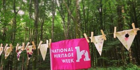 National Heritage Week is coming up and there are loads of free events happening