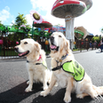 Tayto Park invites visitors to try sensory tunnel for Irish Guide Dogs event