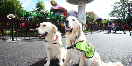 Tayto Park invites visitors to try sensory tunnel for Irish Guide Dogs event