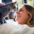 This new cat allergy vaccine promises to help sufferers – but there’s a catch