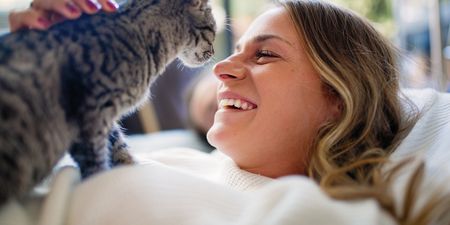 This new cat allergy vaccine promises to help sufferers – but there’s a catch