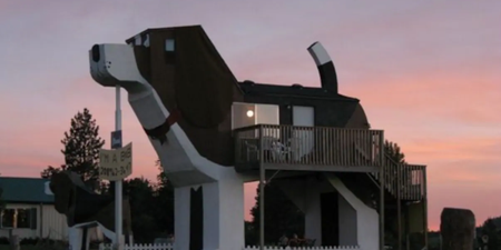 You can now spend the night in a house shaped like a beagle