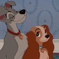 Disney has cast a rescue dog as the main lead in Lady And The Tramp remake