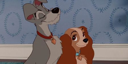 Disney has cast a rescue dog as the main lead in Lady And The Tramp remake