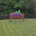Boy dies after falling ill at Center Parcs resort in the UK
