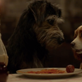 Disney have shared the first trailer for the live action Lady and the Tramp reboot