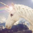 There’s a 7ft unicorn coming to Dublin and we’ll have no shame about being the first in line for photos