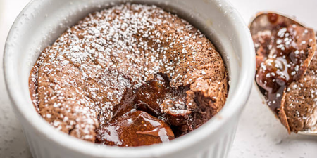 This company wants to pay you to eat chocolate pudding for three months