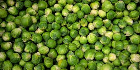 Brussels sprouts gin is here to ruin our festive drinks