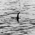 Scientists think they’ve figure out what the Loch Ness Monster is
