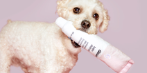 You can now buy Glossier makeup toys for your puppy and they’re pawfect