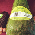Smashing: Giant ‘Avozillas’ are back in Tesco from today