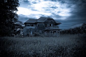Murder House Flip is like a true crime Room To Improve and we need to watch it immediately