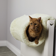 Aldi will be selling a cat radiator bed really soon and sorry, is there a human one on offer or?