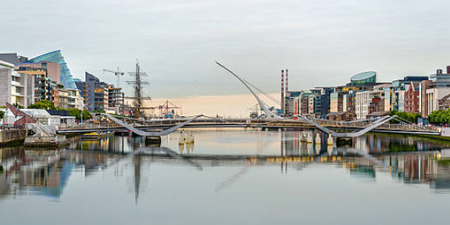 Whale spotted swimming in River Liffey found dead at Dublin Bay
