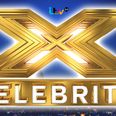 Here are all the celebrity contestants taking part in The X Factor this year