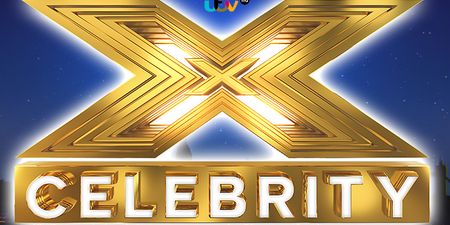 Here are all the celebrity contestants taking part in The X Factor this year