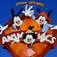 OFFICIAL: Animaniacs is making a comeback with the original voice cast