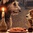The new trailer for Lady and the Tramp is heaven for dog lovers