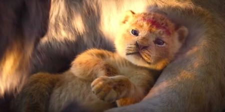 Elton John thinks the remake of The Lion King was a huge disappointment