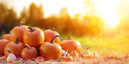 The Wicklow Street Clinic has launched Pumpkin Latte facials and it sounds perfect for autumn
