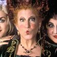 There’s a Hocus Pocus themed brunch coming to Dublin this Halloween