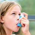 Some asthma inhalers as bad for environment as eating meat, says study