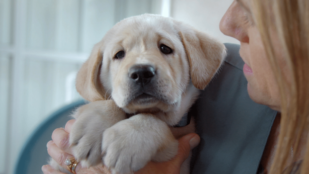 pick of the litter