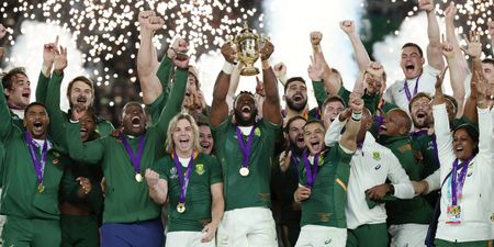 South Africa has beaten England in the rugby world cup final