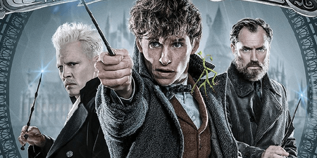 The screenwriter of the best Harry Potter films will finally be working on the Fantastic Beasts saga