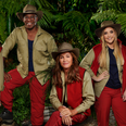 I’m A Celebrity 2019: The official line-up for the show has now been announced