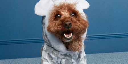 You need to see Penneys’ adorable new dog jammies that are only €8